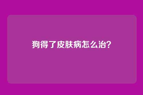 狗得了皮肤病怎么治？