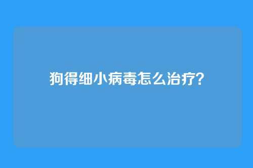 狗得细小病毒怎么治疗?