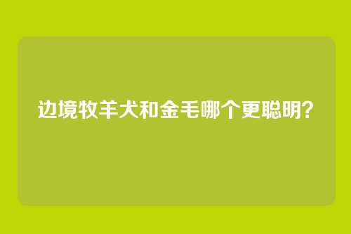 边境牧羊犬和金毛哪个更聪明?