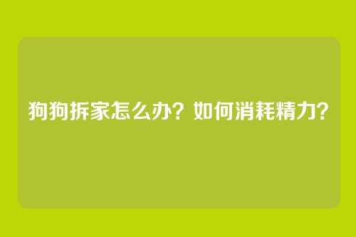 狗狗拆家怎么办？如何消耗精力？