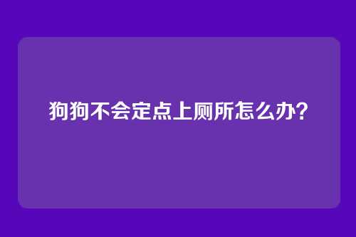 狗狗不会定点上厕所怎么办？