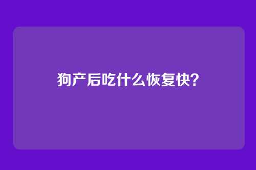 狗产后吃什么恢复快？