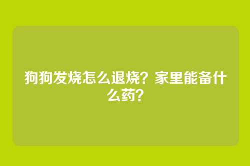 狗狗发烧怎么退烧？家里能备什么药？