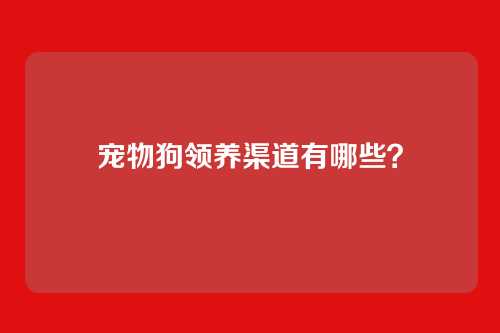 宠物狗领养渠道有哪些？