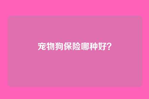 宠物狗保险哪种好?