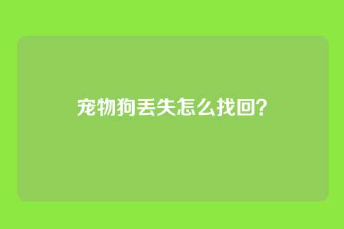 宠物狗丢失怎么找回？