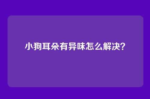 小狗耳朵有异味怎么解决?