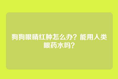 狗狗眼睛红肿怎么办?能用人类眼药水吗?