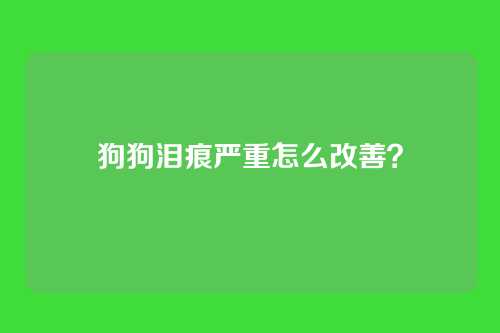 狗狗泪痕严重怎么改善？