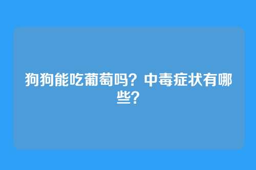 狗狗能吃葡萄吗？中毒症状有哪些？