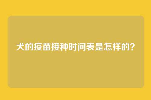 犬的疫苗接种时间表是怎样的?