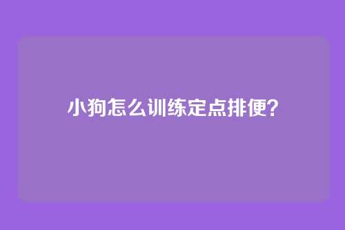 小狗怎么训练定点排便?