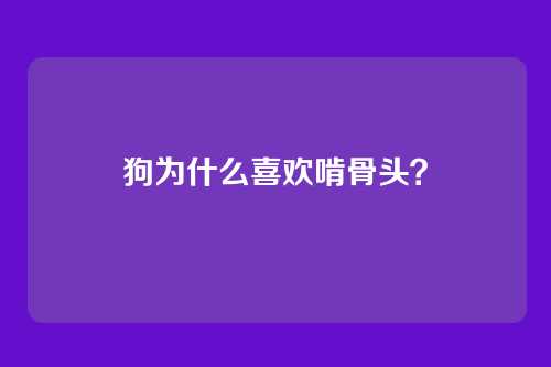 狗为什么喜欢啃骨头？