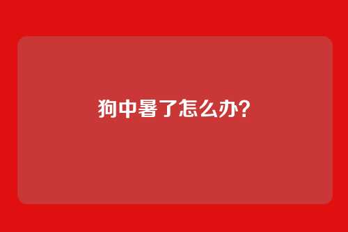 狗中暑了怎么办?