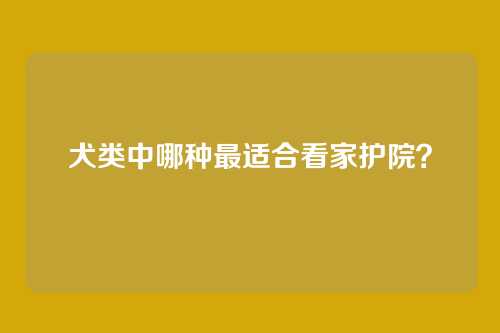 犬类中哪种最适合看家护院?