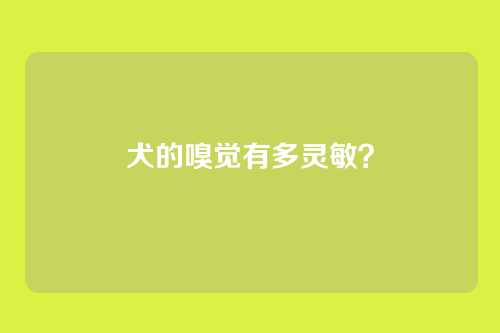 犬的嗅觉有多灵敏?