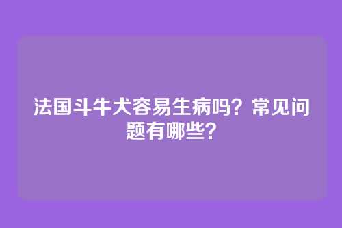 法国斗牛犬容易生病吗？常见问题有哪些？