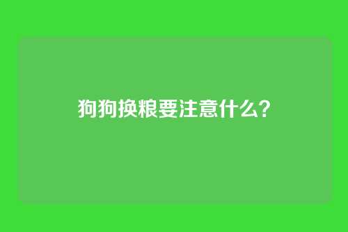 狗狗换粮要注意什么？