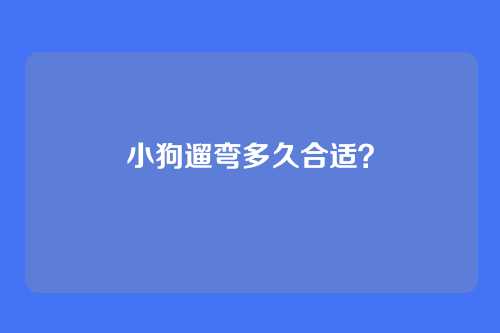 小狗遛弯多久合适?