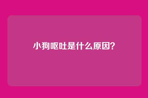 小狗呕吐是什么原因?