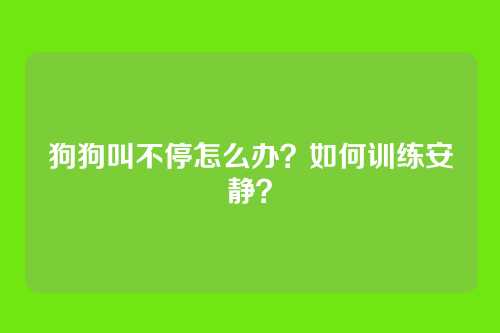 狗狗叫不停怎么办？如何训练安静？