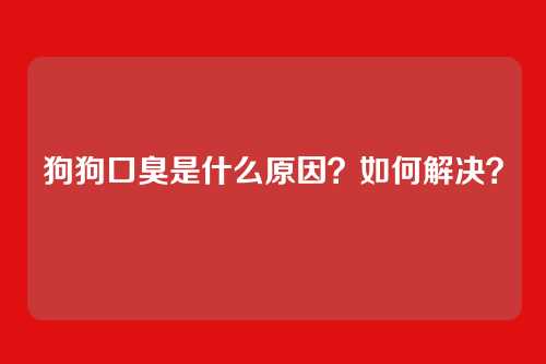 狗狗口臭是什么原因?如何解决?