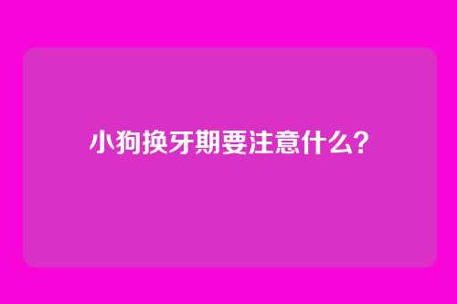 小狗换牙期要注意什么?