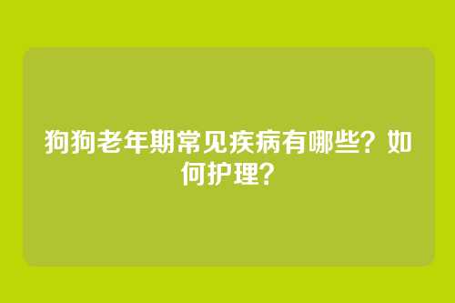 狗狗老年期常见疾病有哪些?如何护理?