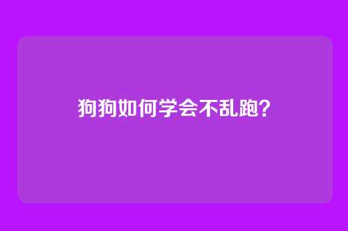 狗狗如何学会不乱跑?