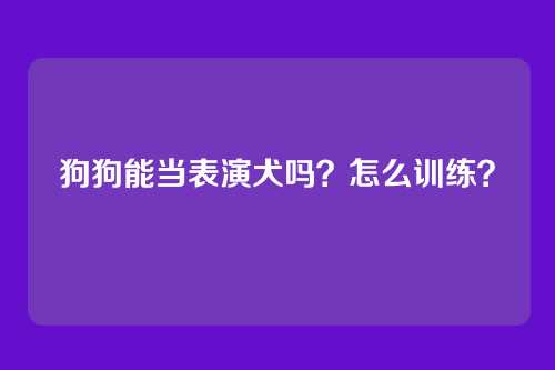 狗狗能当表演犬吗?怎么训练?