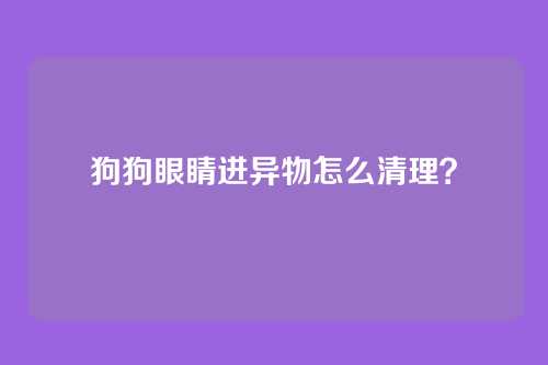 狗狗眼睛进异物怎么清理？