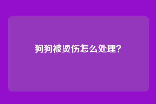 狗狗被烫伤怎么处理？