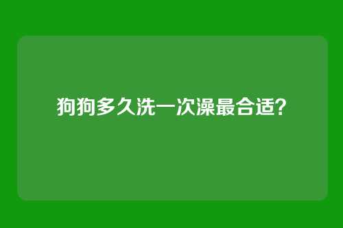 狗狗多久洗一次澡最合适？
