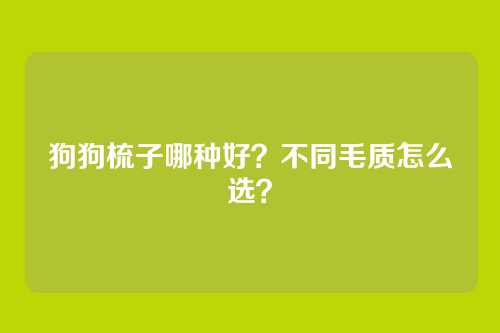 狗狗梳子哪种好?不同毛质怎么选?