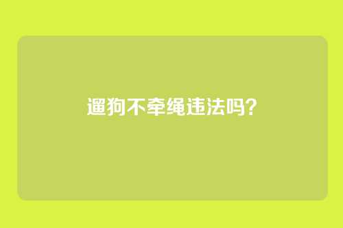 遛狗不牵绳违法吗？