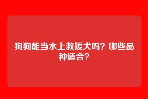 狗狗能当水上救援犬吗？哪些品种适合？