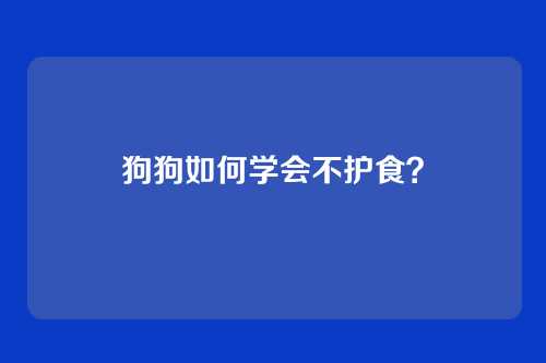 狗狗如何学会不护食？
