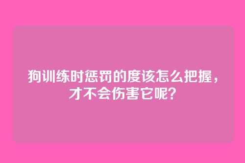 狗训练时惩罚的度该怎么把握,才不会伤害它呢?