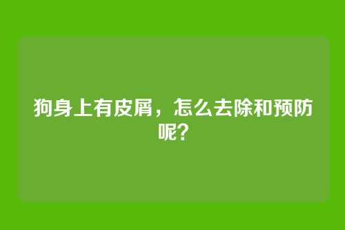 狗身上有皮屑，怎么去除和预防呢？