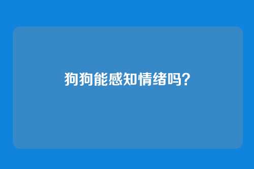 狗狗能感知情绪吗?