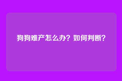 狗狗难产怎么办？如何判断？