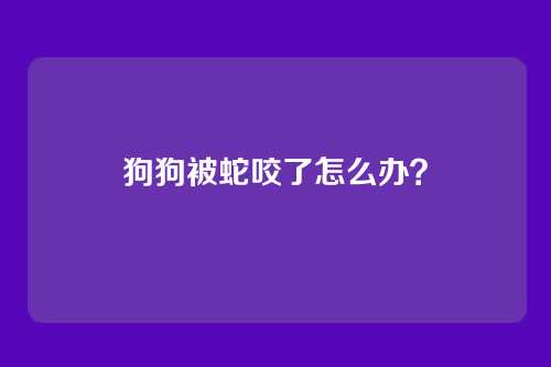 狗狗被蛇咬了怎么办?