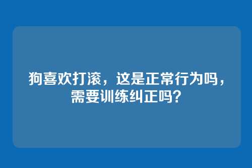 狗喜欢打滚,这是正常行为吗,需要训练纠正吗?