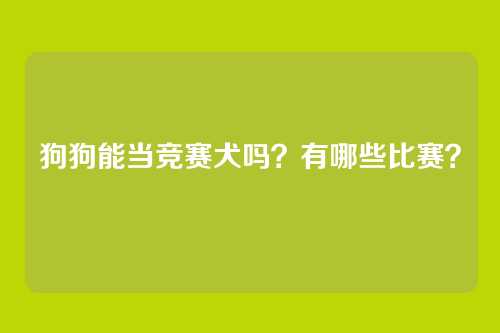 狗狗能当竞赛犬吗？有哪些比赛？