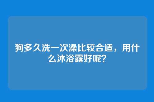狗多久洗一次澡比较合适,用什么沐浴露好呢?