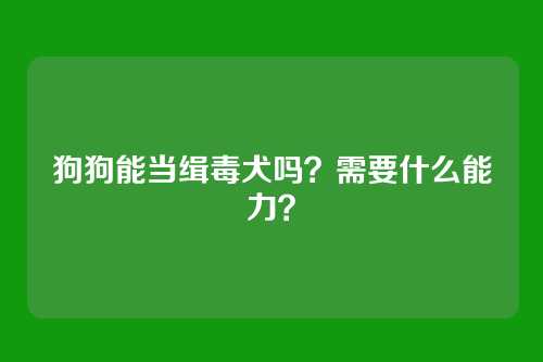 狗狗能当缉毒犬吗?需要什么能力?