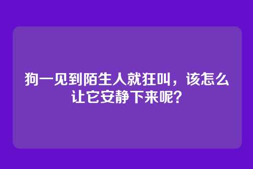 狗一见到陌生人就狂叫，该怎么让它安静下来呢？