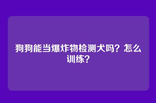 狗狗能当爆炸物检测犬吗？怎么训练？
