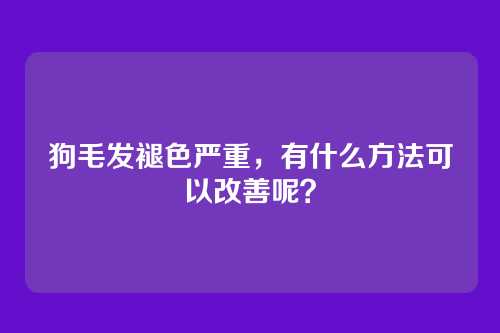狗毛发褪色严重，有什么方法可以改善呢？