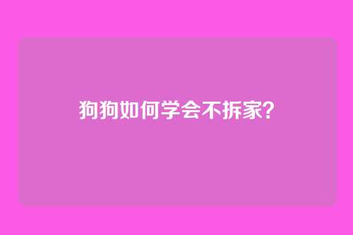 狗狗如何学会不拆家？